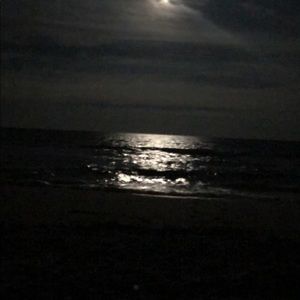 Meet your Posher, Kiera